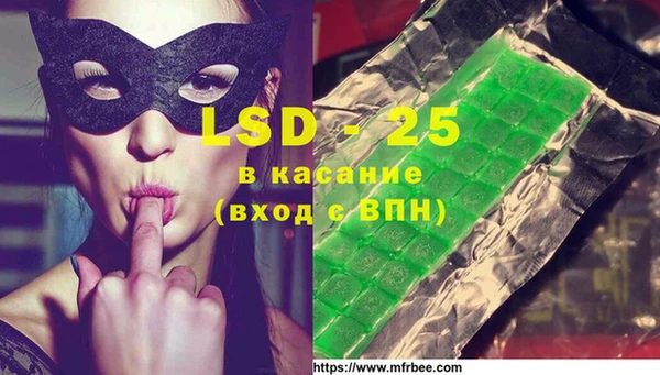 ПСИЛОЦИБИНОВЫЕ ГРИБЫ Алзамай