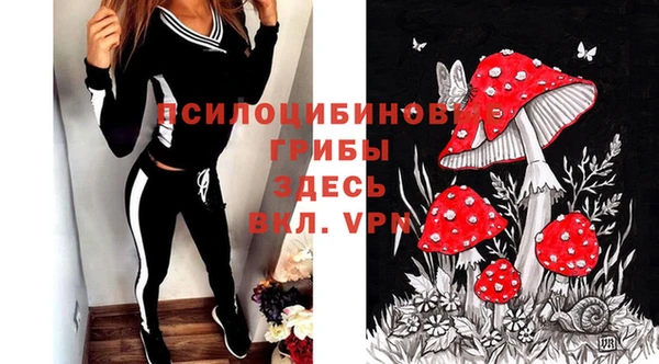ПСИЛОЦИБИНОВЫЕ ГРИБЫ Алзамай