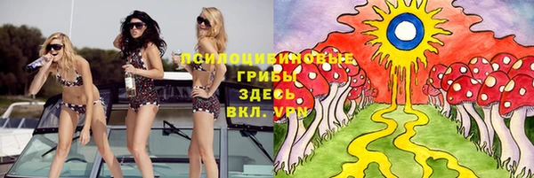 бутират Алексеевка