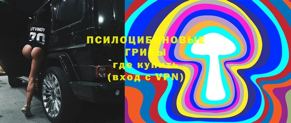 ПСИЛОЦИБИНОВЫЕ ГРИБЫ Алзамай